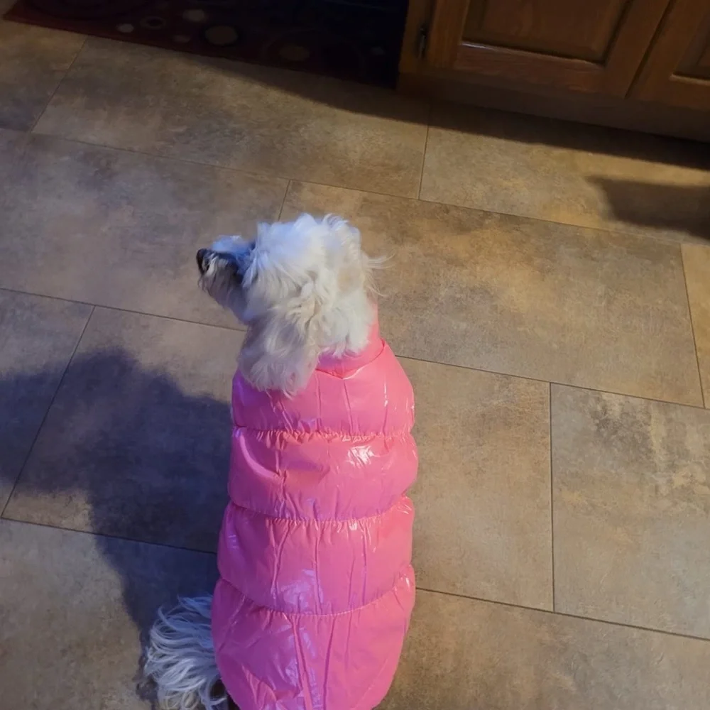 Brand new pink puffer dog jacket – Size Medium 💗🐶